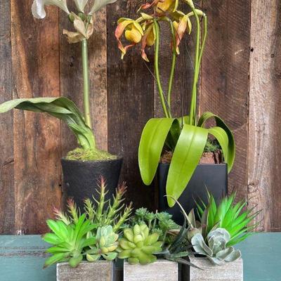 Lot of 3 Artificial Plants
