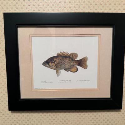Fish Print