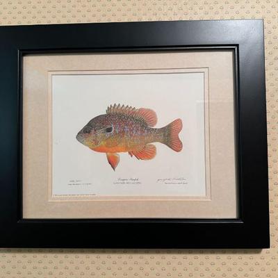 Fish Print