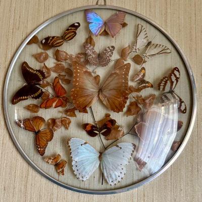Entomology
