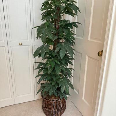 Tall, Towering Paperplant w/ Wicker Basket	