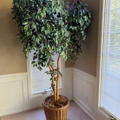 Faux Ficus Benjamina Tree w/ Twinkling Lights #2	