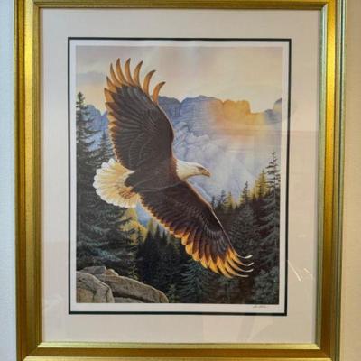 Framed Eagle Morning Majesty By Lee Cable	