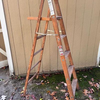 6’ Painters Ladder
