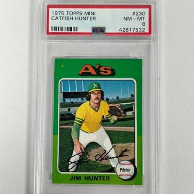 Catfish Hunter - PSA