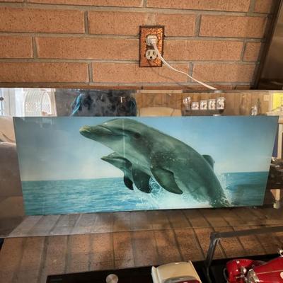 Dolphin lighted and mirrored wall decor