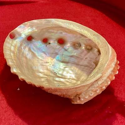 Abalone shell