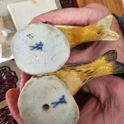 Birds