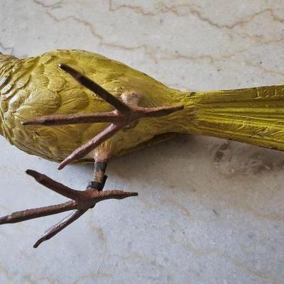 Bird