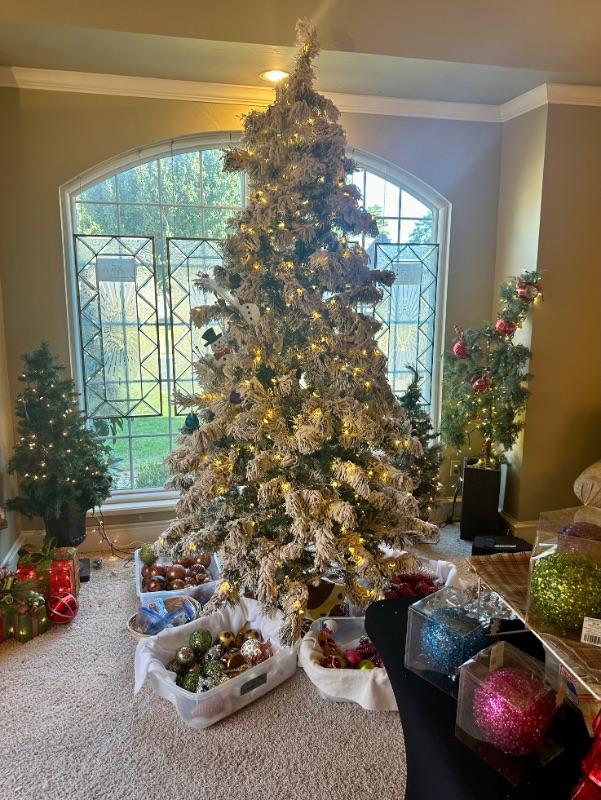 It’s Christmas in Warwick Place! Presented by Precious Possessions