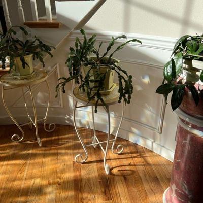 indoor plants and pots