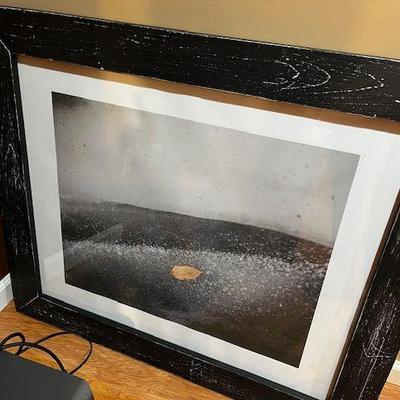 photographers print