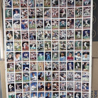 Lot 139 | 1991 Baseball Cards Uncut
