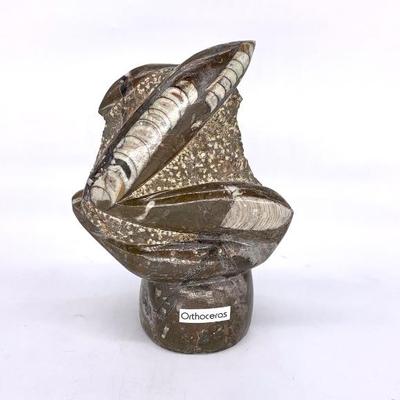 Orthoceras fossil tower