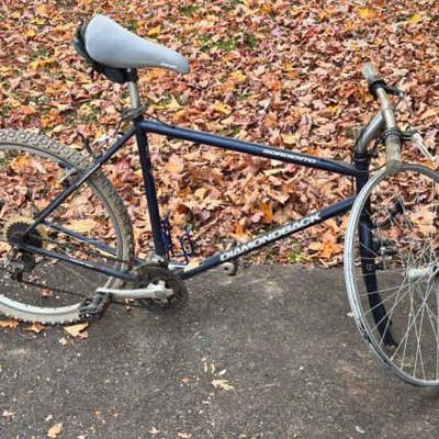 Diamond Back Sorrento Bicycle
