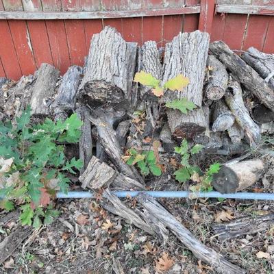Firewood
