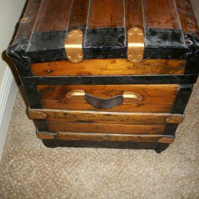 Side view of trunk
