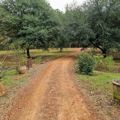Between the greenhouses and the house