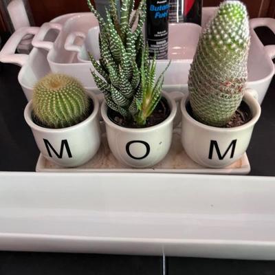 MOM CACTUS