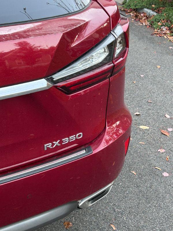 Fall's Bounty in Newton! A Virtual Event at Hunt Estate Sales Dot com