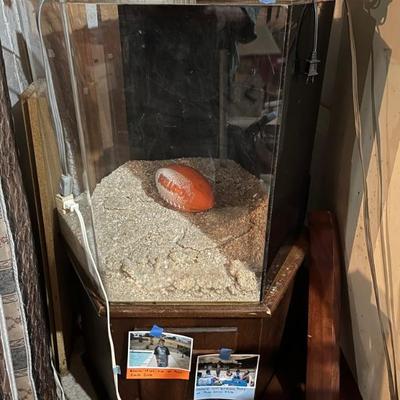 salt water fish tank