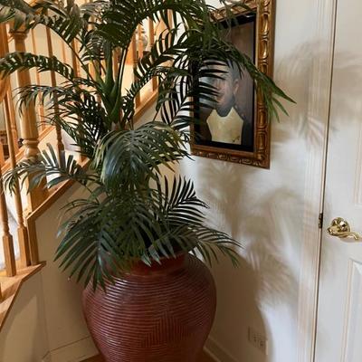 lots of large plants