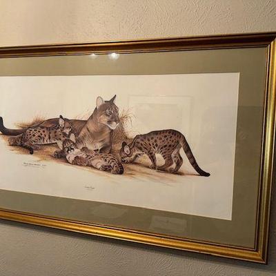 "Eastern Cougar" by Richard Evans Younger, offset print