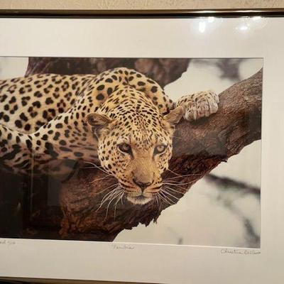 Sale Photo Thumbnail #65: "Leopard" by Christine Dellosso, limited edition photography