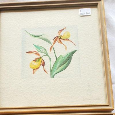 Vintage Small Watercolors Flowers of Colorado

