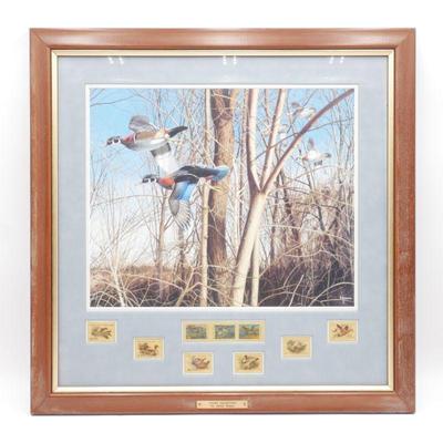 "Tight Quarters" by David Maass Framed Duck Stamps & Print