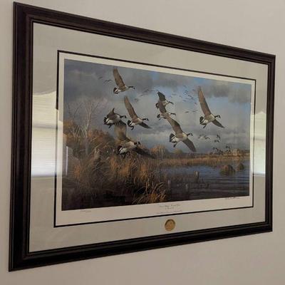 Ducks Unlimited Canadian geese 