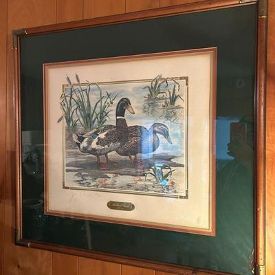 Mallard Ducks - Signed & Numbered print