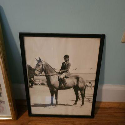Horse and rider