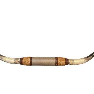 A Vintage Texas Longhorn Steer Mount
