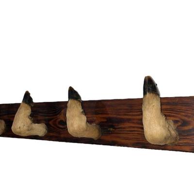 Whitetail Deer Hoof Coat/Gun Rack