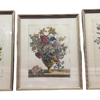 Botanical Prints Set of 3