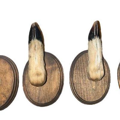 Four Deer Hoof Taxidermy Coat/Gun Hooks