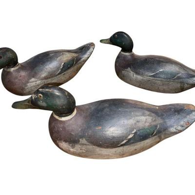 Three Antique Wood Duck Decoys