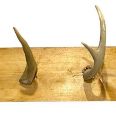 POPS CASEY Folk Art Antler Coat Rack