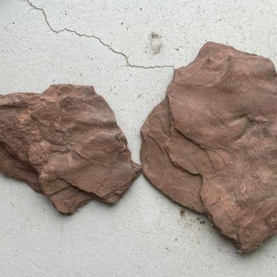 Dinasaur foot print in limestone