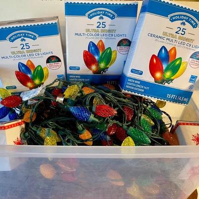 (6) Strands Of Holiday Time LED Lights - (3) In Original Box, (4) Stands Of Winter Lane Battery Lights