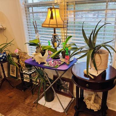 ROUND TABLE, PLANTS, LAMP
