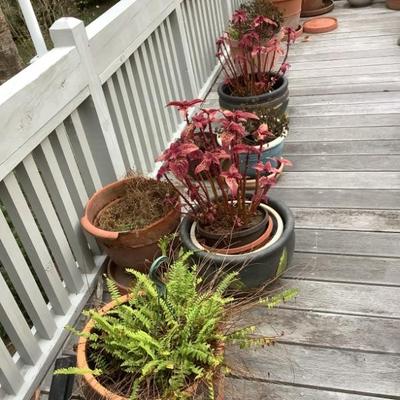 garden pots and garden decor 
