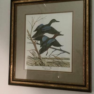 $175 Cinnamon Teal by John A. Ruthven 569/2000, 23"H 20"W