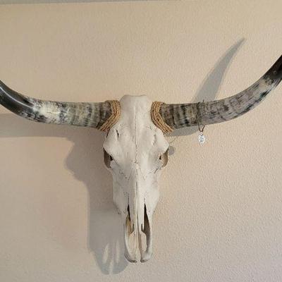 Longhorn Steer Skull