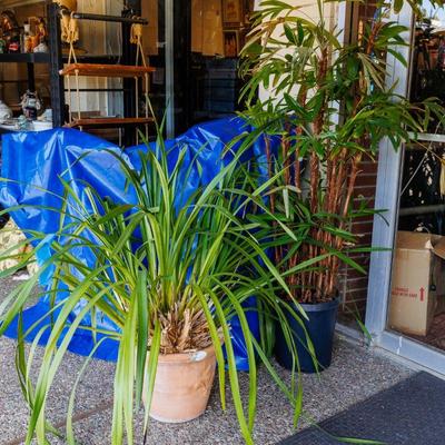 Please visit our showroom November 15-17th 10am-5pm to purchase this item.