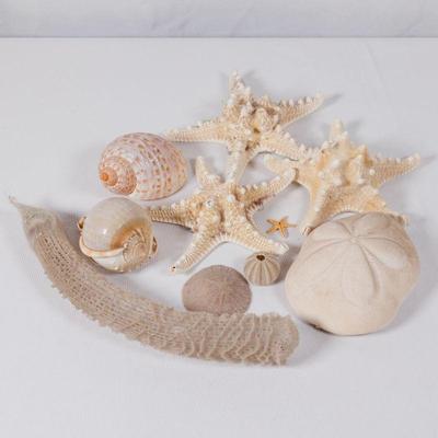 Please visit our showroom November 15-17th 10am-5pm to purchase this item.