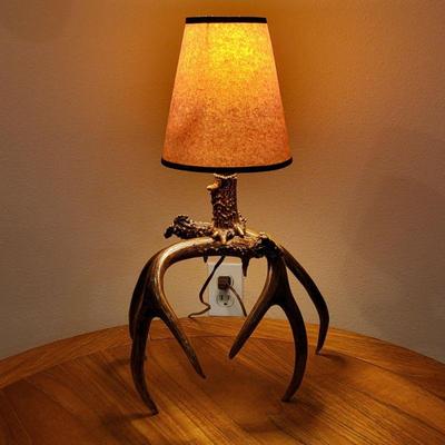 Antler Lamp