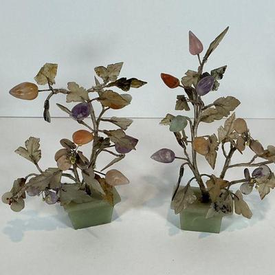 Jade Trees