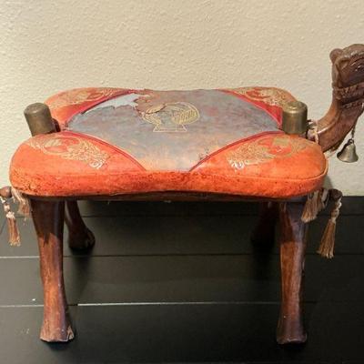 Camel Saddle